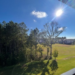 a wooded area near a building